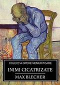 Cover: Inimi cicatrizate - SC Active Business Development SRL