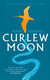 Enlarge image Cover: Curlew Moon - William Collins