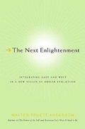 Cover: The Next Enlightenment - St. Martin's Press
