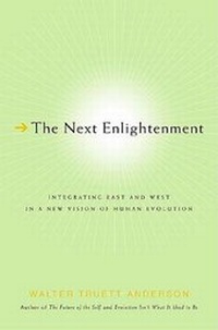 Enlarge image Cover: The Next Enlightenment - St. Martin's Press