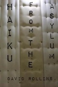Cover: Haiku From The Asylum - Green Cat Books
