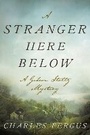 Cover: A Stranger Here Below - Skyhorse Publishing