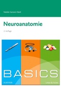 Cover: Basics Neuroanatomie - Urban & Fischer