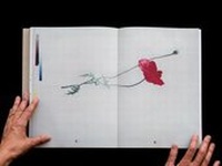 Enlarge image Cover: BLUMENLESE - Vexer Verlag GmbH
