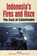 Cover: Indonesia's Fires and Haze - ISEAS Publishing