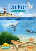Cover: Pixi Wissen 11: Das Meer - Carlsen