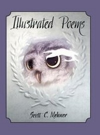 Enlarge image Cover: Illustrated Poems - Scott C Mehner Press
