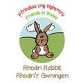 Cover: Rhodri Rabbit / Rhodri'r Gwningen - Clumsy Rabbit Books