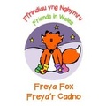 Cover: Freya Fox / Freya'r Cadno - Clumsy Rabbit Books