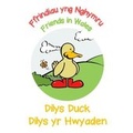 Cover: Dilys Duck / Dilys yr Hwyaden - Clumsy Rabbit Books