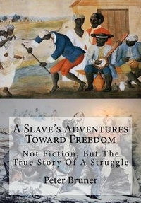 Abbildung von: A Slave's Adventures Toward Freedom - Historic Publishing