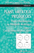 Cover: Plant Virology Protocols - Humana Press Inc.