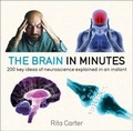 Cover: The Brain in Minutes - Greenfinch
