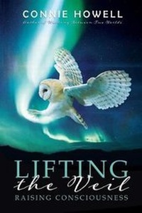 Enlarge image Cover: Lifting the Veil - Moshpit Publishing