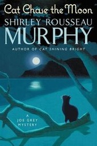 Enlarge image Cover: Cat Chase The Moon - HarperCollins