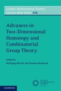 Cover: Advances in Two-Dimensional Homotopy and Combinatorial Group Theory - Cambridge University Press