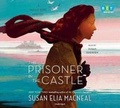 Cover: The Prisoner In The Castle - Books on Tape