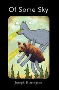 Cover: Of Some Sky - Blazevox Books