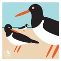 Cover: I Like Birds: Oyster Catcher Boxed Notecards - Quadrille Publishing Ltd