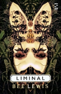 Enlarge image Cover: Liminal - Salt Publishing