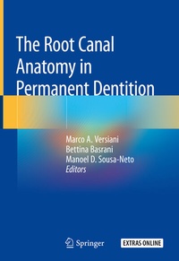 Abbildung von: The Root Canal Anatomy in Permanent Dentition - Springer