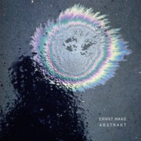 Enlarge image Cover: Abstrakt - Steidl