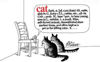 Enlarge image Cover: Cat - Workman Adult