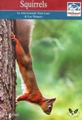 Cover: Squirrels - Mammal Society