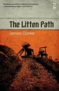 Enlarge image Cover: The Litten Path - Salt Publishing