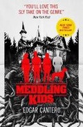 Cover: Meddling Kids - Titan Books Ltd