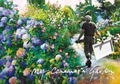 Cover: Kenneth Webb - My Conamara Garden - Kenny's Bookshop & Art Gallery