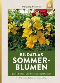 Abbildung von: Sommerblumen - Verlag Eugen Ulmer