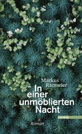 Cover: In einer unm&ouml;blierten Nacht - Haymon Verlag