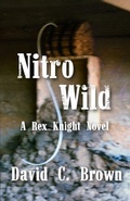 Cover: Nitro Wild - CASEMATE ACADEMIC