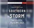 Cover: Southern Storm - Dreamscape Media