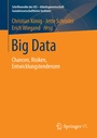 Cover: Big Data - Springer VS