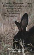 Cover: Reflective Meditations Trilogy - Inspirational Insights Counselling, Inc.
