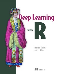 Enlarge image Cover: Deep Learning with R - Manning Publications
