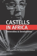 Cover: Castells in Africa - African Minds