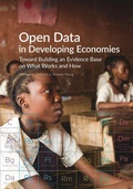 Cover: Open data in developing economies - African Minds