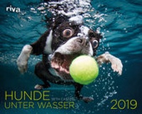 Abbildung von: Hunde unter Wasser 2019 - Riva