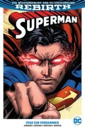 Cover: Superman - Panini Verlags GmbH