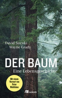 Abbildung von: Der Baum - oekom verlag