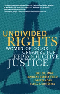 Enlarge image Cover: Undivided Rights - South End Press
