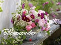 Cover: Blumenzauber 2019 - Ackermann Kunstverlag