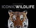 Cover: Iconic Wildlife 2019 - Ackermann Kunstverlag