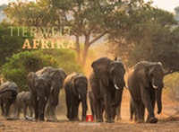 Abbildung von: Tierwelt Afrika 2019 - Ackermann Kunstverlag
