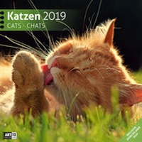 Bild vergrößern Bild: Katzen 2019 - Ackermann Kunstverlag