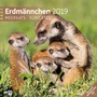 Bild: Erdm&auml;nnchen 2019 - Ackermann Kunstverlag