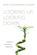 Cover: Looking Up, Looking Down - Singing Dragon